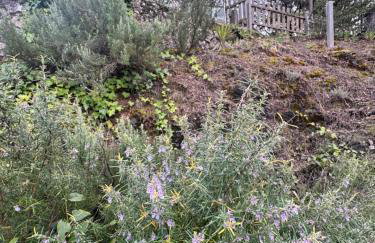 Alcarria , Casa del Agua - Foto 34