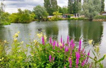 Billing Aquadrome ,3 bedrooms caravan - Photo 39