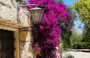 TRULLO FERNANDO - Foto 30