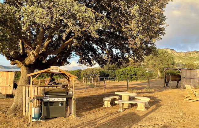 Les Chalets de Tesa - Foto 53