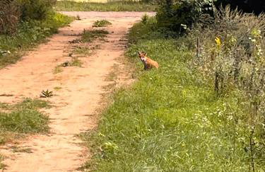 Brzozowy Zakątek - Foto 55