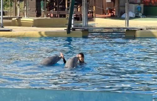 Rosa Apartman - Foto 32