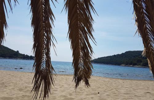 Apartments Villa Hansal - Photo 15