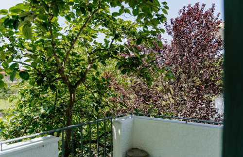 Villa Marina - Foto 15