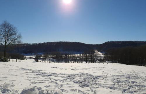 FeWo Harling - Waldoase - Foto 29