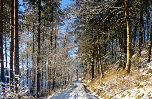 The Five Turrets: Stay in Scotland in Style in a Historic Four-bed Holiday Home - Foto 77