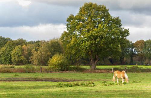 Ferienhaus Clara - Foto 30