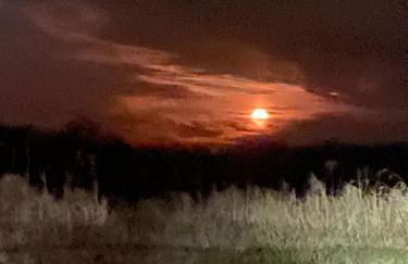 The Farmhouse ranch - Foto 37