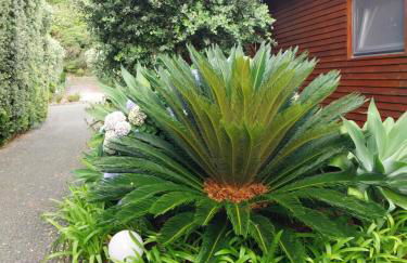 Sítio da Assumada - Foto 40