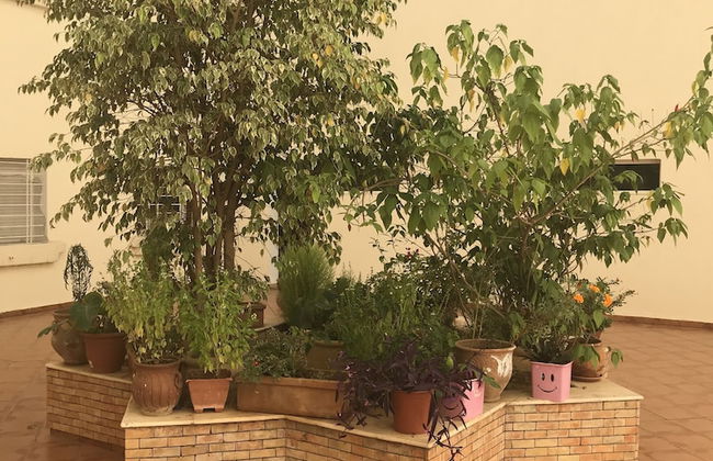 Résidence Les Ambassadeurs - Foto 11