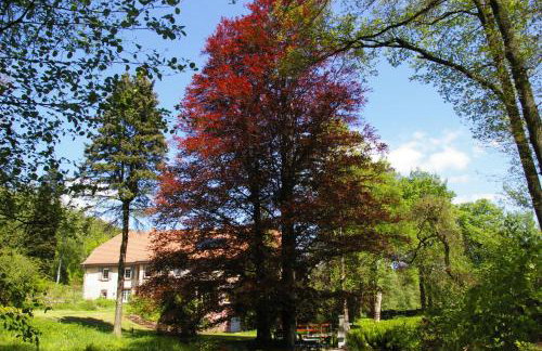 Ferienwohnungen Reichholdsmühle - Foto 10