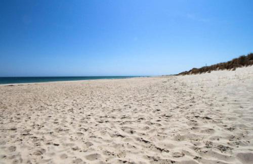 Nauset Beach Buddy - Photo 30