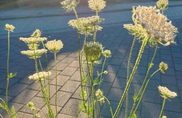 Zimmer mit Gartenblick - Foto 17