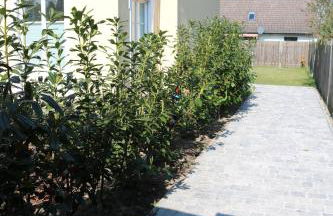 Villa am Steinhuder Meer Superior DZ-Azur- mit kl Pantry Küche, Garten, WLAN - Foto 30