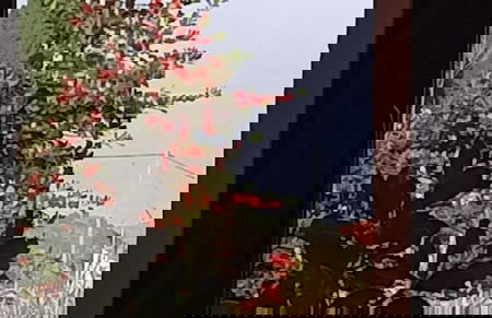 Anastasia s Cottage in Pelion - Foto 18