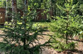 Domek nad jeziorem Strykowskim - Foto 9