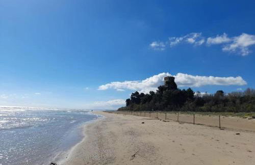 Villa Escape Near Etang de Thau - Foto 56