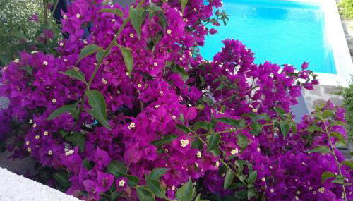 Casa Zeralda, privater Pool - Photo 3