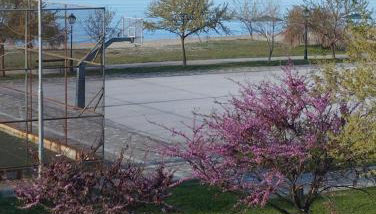 Aegean View Seaside Apartment - Photo 5
