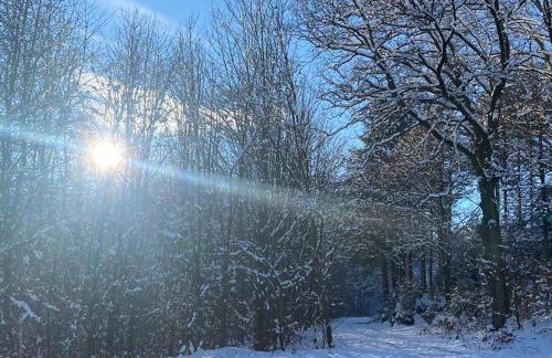 Glückshuuske Sauerland - Foto 19