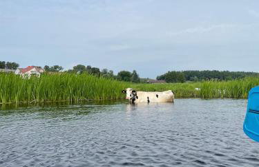 Skrzydła Biebrzy- Eco Cottage nad rzeką Narwią - Biebrza NP - Foto 14