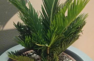 Gocce di Rugiada - Photo 12