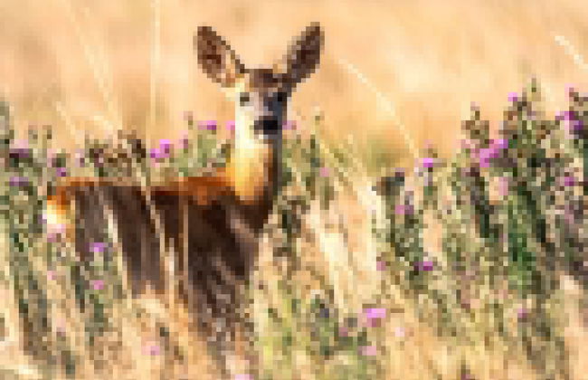 6 Person Holiday Home in Atvidaberg-by Traum - Foto 30