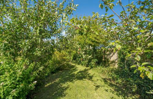Charming Chardan Cottage, Fowey - Foto 8