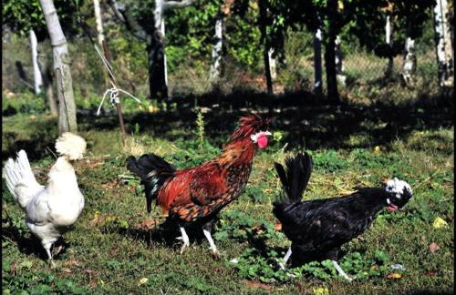 B&B Famiglia De Angelis - Foto 16