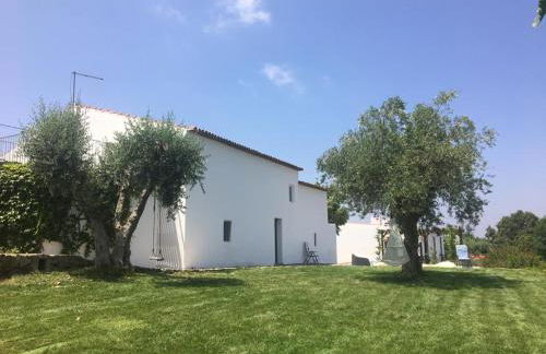 Quinta d'Abegoa - Photo 43