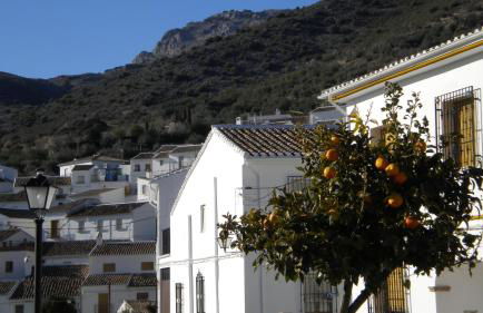 vivienda turistica Fuente Zagrilla II - Foto 15