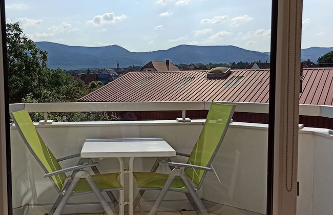 Studio 1 - Location de Vacances Obernai - Photo 13