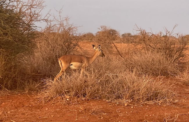 Caster JKIA Homes - Foto 76