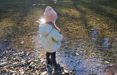 Bieszczady Domek u Pączka - Foto 10