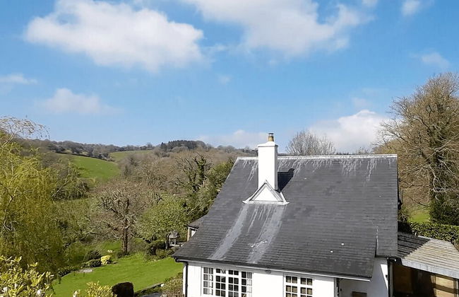 Higher Mapstone in Lustleigh - Foto 43