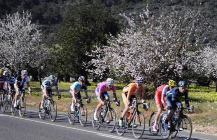 Es Baulo Pleta - Foto 50