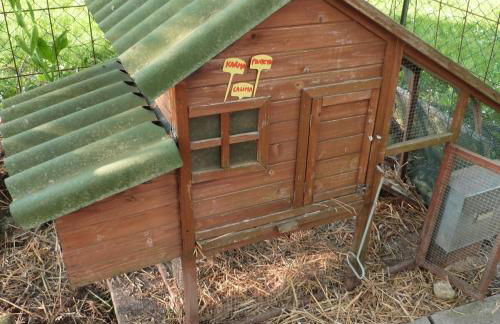 Country house for animals and nature lovers - Photo 8