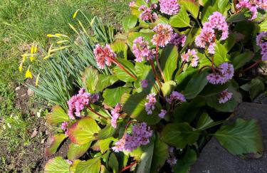 EMI2 Modern Apartment Free Parking Near Swiss Border - Foto 48