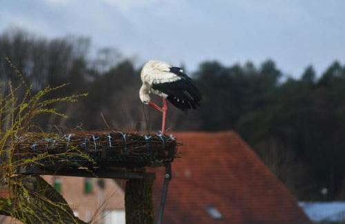 Ferienwohnung Storchennest - Foto 31