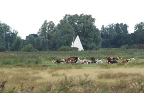 Charming Woodland Lodge 2 person 1 bedroom - Foto 30