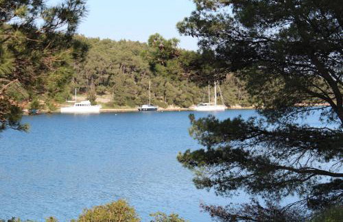 Mama's & Papa's house - Foto 48