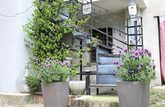 Il Giardino di Claudia Cardamomo - Foto 17