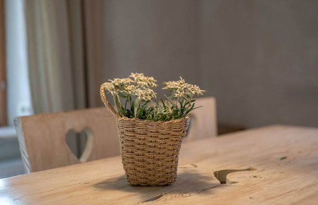 Country House Trata - Trata Resort - Foto 41