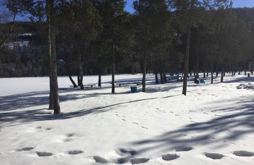 Titisee Haus Vogelnest - Photo 18