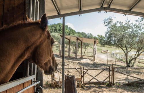 Agriturismo Goccia di Luna - Foto 18
