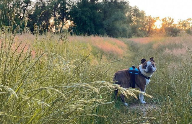 Dragons Nest: Cozy & Modern Attic Loft Nuremberg - Foto 18