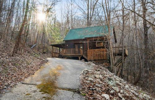 Beary Cozy- No Pet Fee, Hot Tub, Fireplace, WiFi - Foto 8