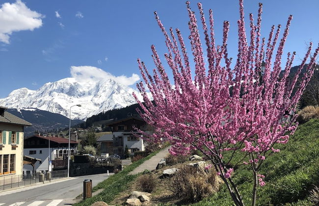 Le Floralp - Foto 37