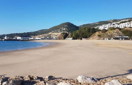 Quinta de Palames - Foto 20