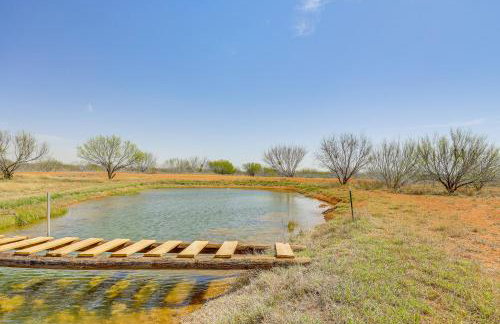Hike, Hunt and Fish Pet-Friendly Studio in Dilley! - Photo 26